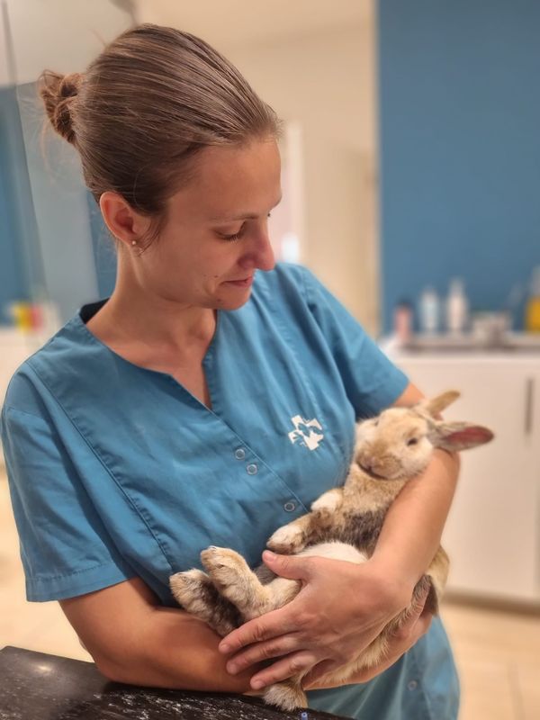 Dierenarts Jasmine Kestelijn