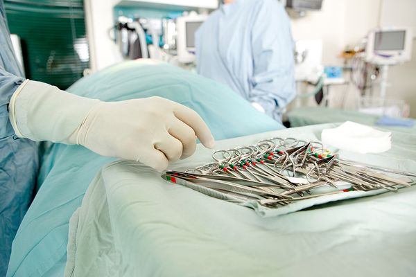 Castratie en sterilisatie